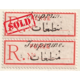 1907 Pair of Printed Matter Postal Tax Issue