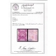 1870 1ch Bagheri Raddish Lilac Certificate By IPSC