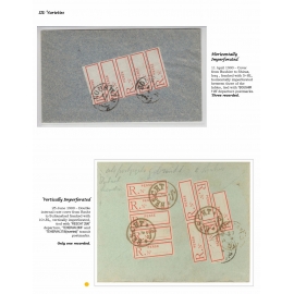 Registration label used as Postage